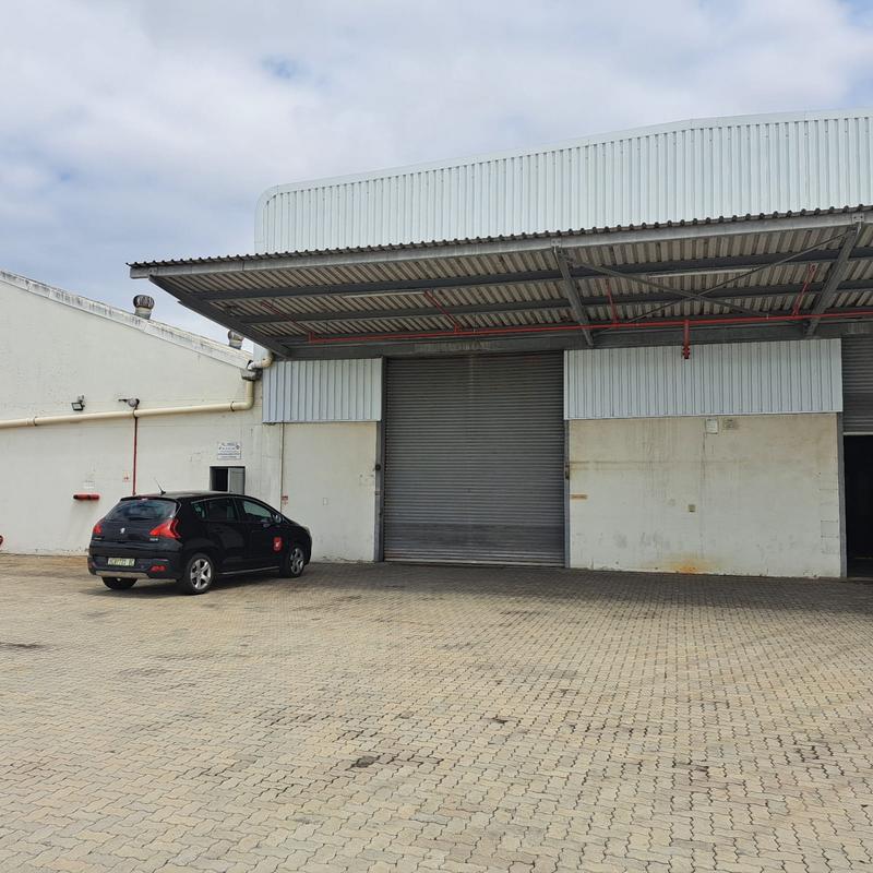 To Let commercial Property for Rent in Deal Party Eastern Cape